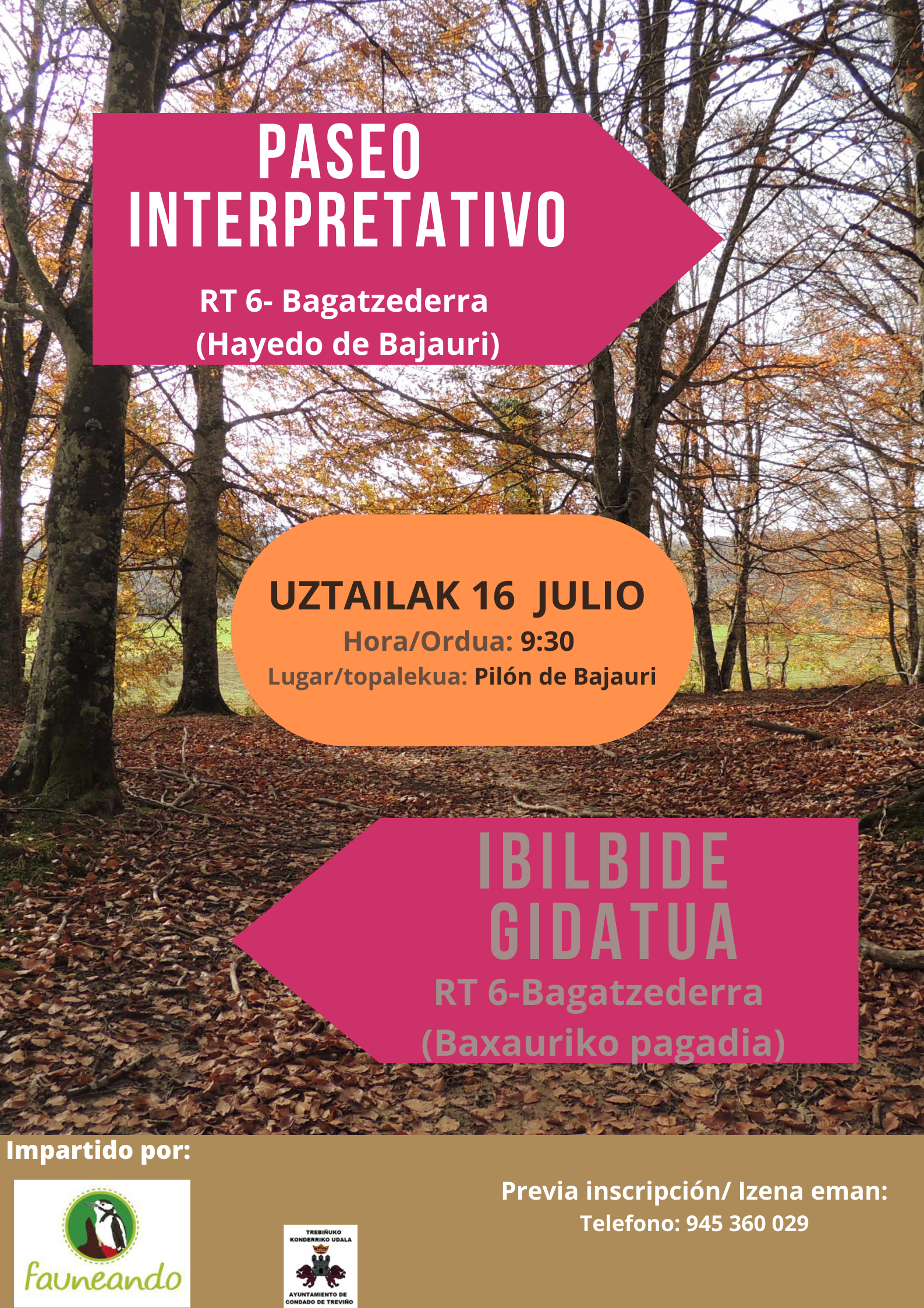 Paseo interpretativo hayedo de Bajauri