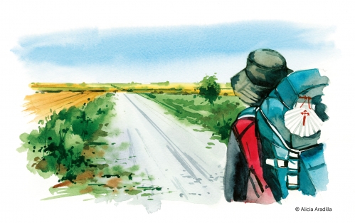 Camino Vía de Bayona 